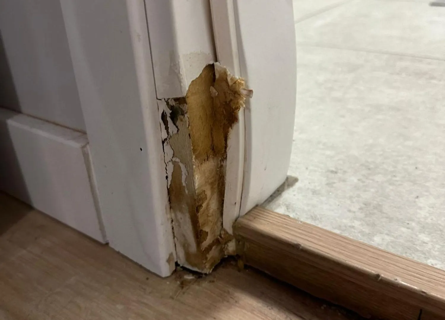 Ferienwohnung Stare Dlugie Ogrody 55 P4 Danzig